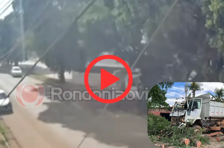 Motorista embriagado perde controle de caçamba e derruba árvore na Avenida Imigrantes