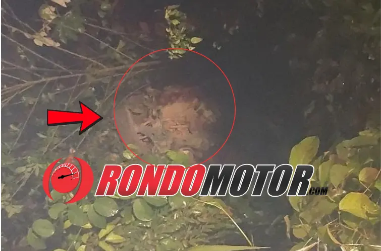 Passageira morre após caminhonete Fiat Toro capotar e cair em ribanceira