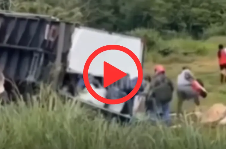 Veja vídeo Caminhão do Mercado Livre capota na BR-101 e carga é saqueada