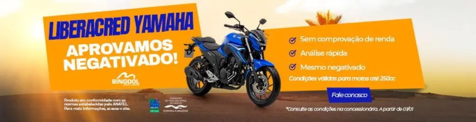 BINGOOL MOTOS  970X250